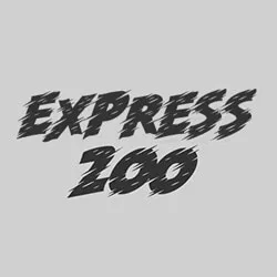 Express 200 game artwork