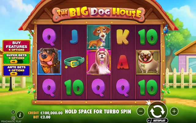 The Big Dog House — base game and controls