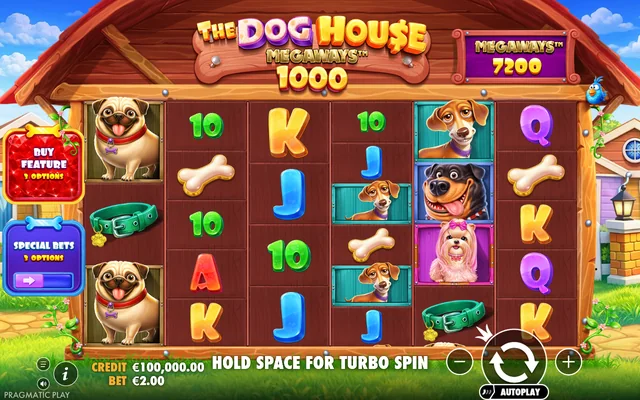 The Dog House Megaways 1000 — base game and controls