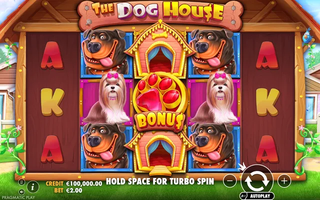 The Dog House — game layout and virtual-credit controls