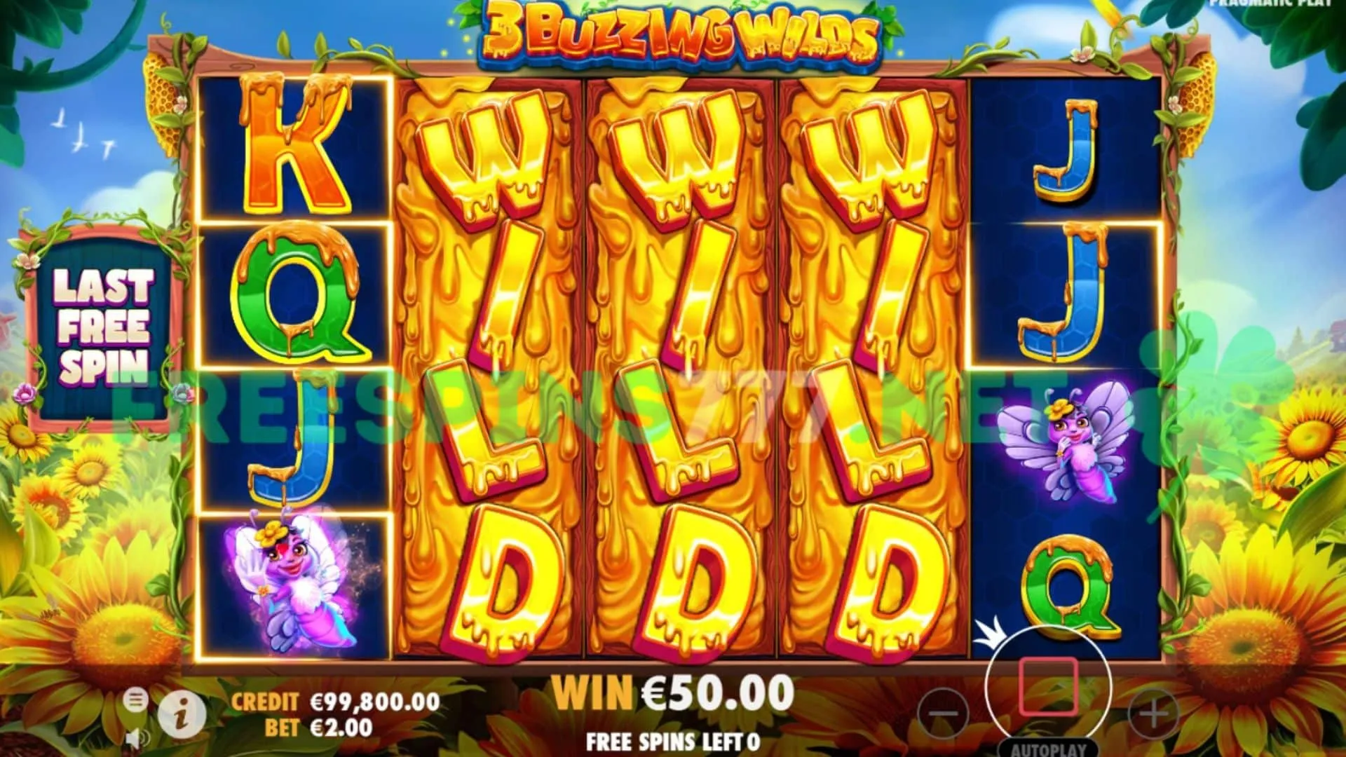 3 Buzzing Wilds