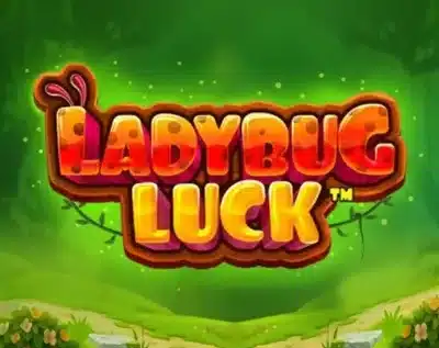 Ladybug Luck