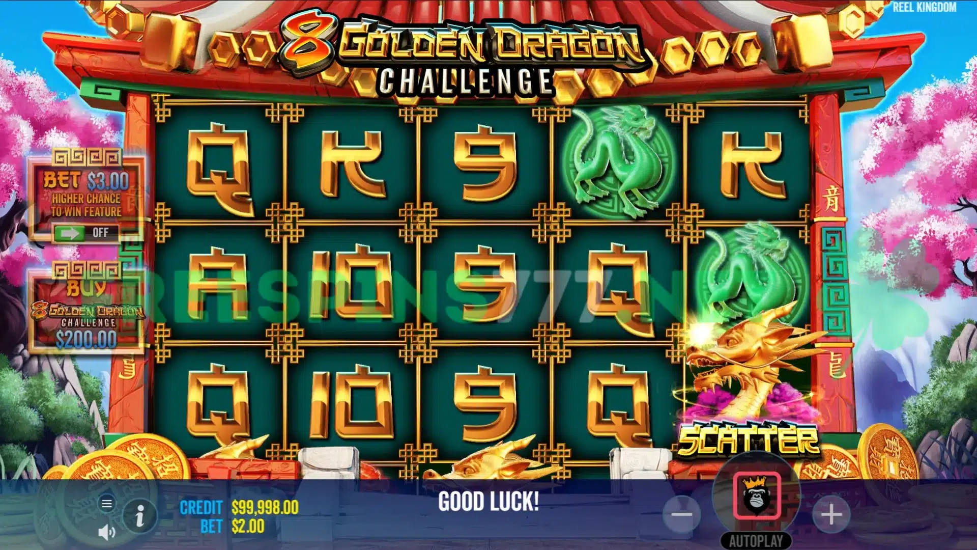 8 Golden Dragon Challenge