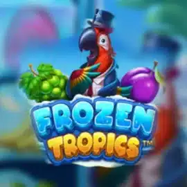 Frozen Tropics