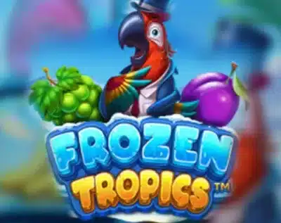 Frozen Tropics