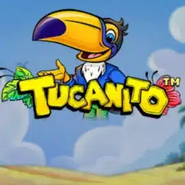 Tucanito