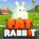 Fat Rabbit